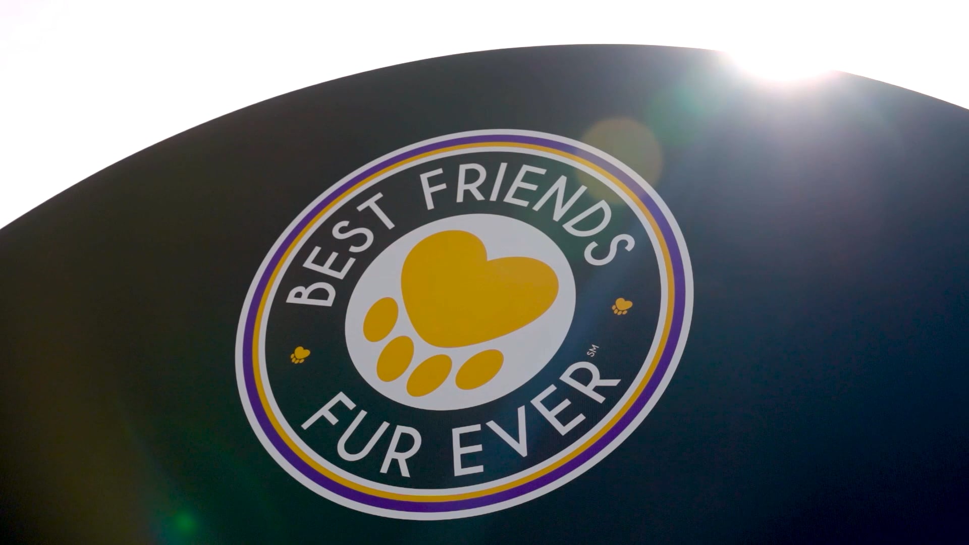 Preview of Best Friends Fur Ever Promotional Video